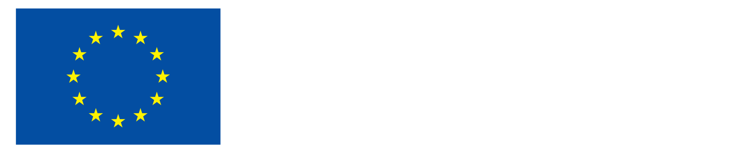 H Kofinanziert von der Europäischen Union_NEG