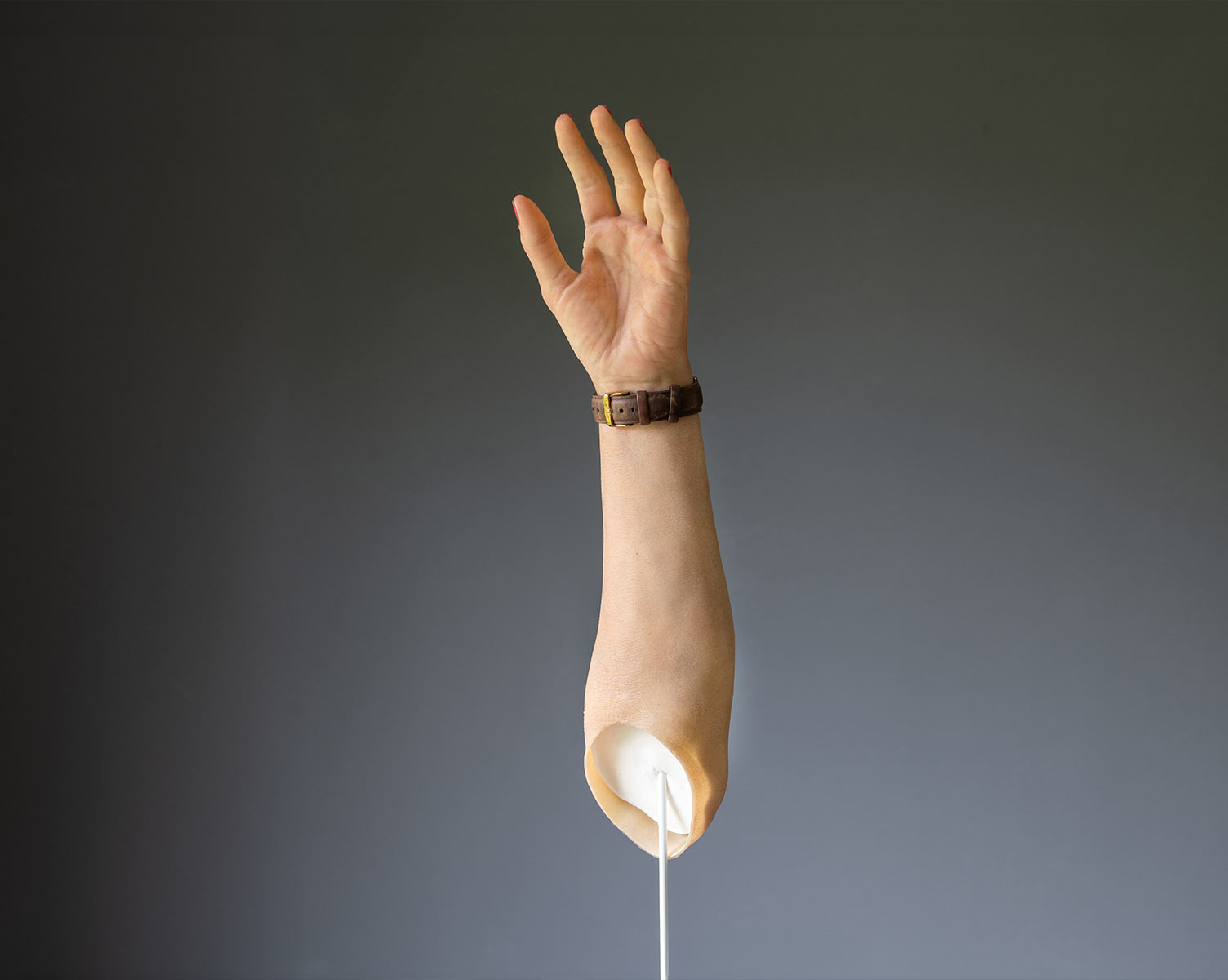 Stefan von Essen, Willi von Essen - Gründer von Liefelike Prosthetics